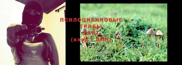 индика Аркадак