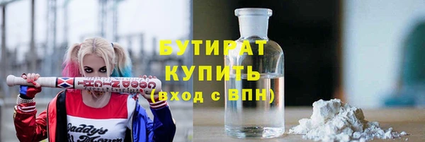индика Аркадак