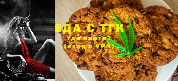 индика Аркадак