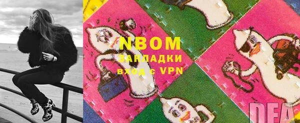 индика Аркадак