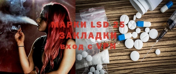 индика Аркадак