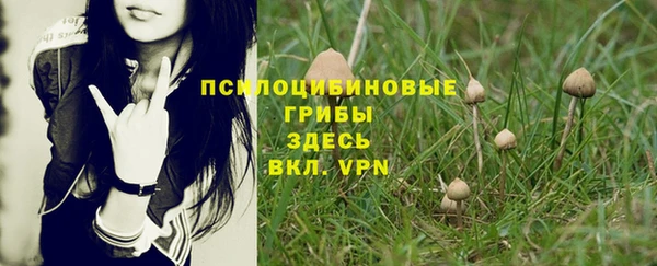 а пвп мука Баксан