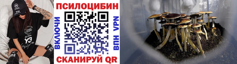 Купить Тосно Галлюциногенные грибы ЛСД